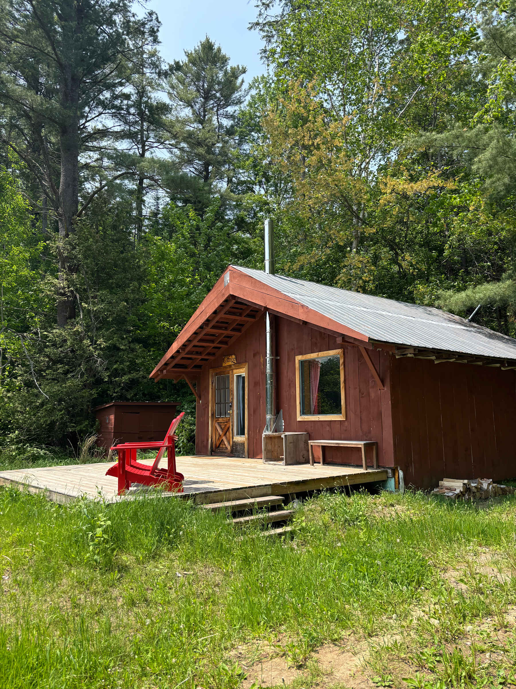 The rustic red Pine and Birch cottage surrounded by tall forest