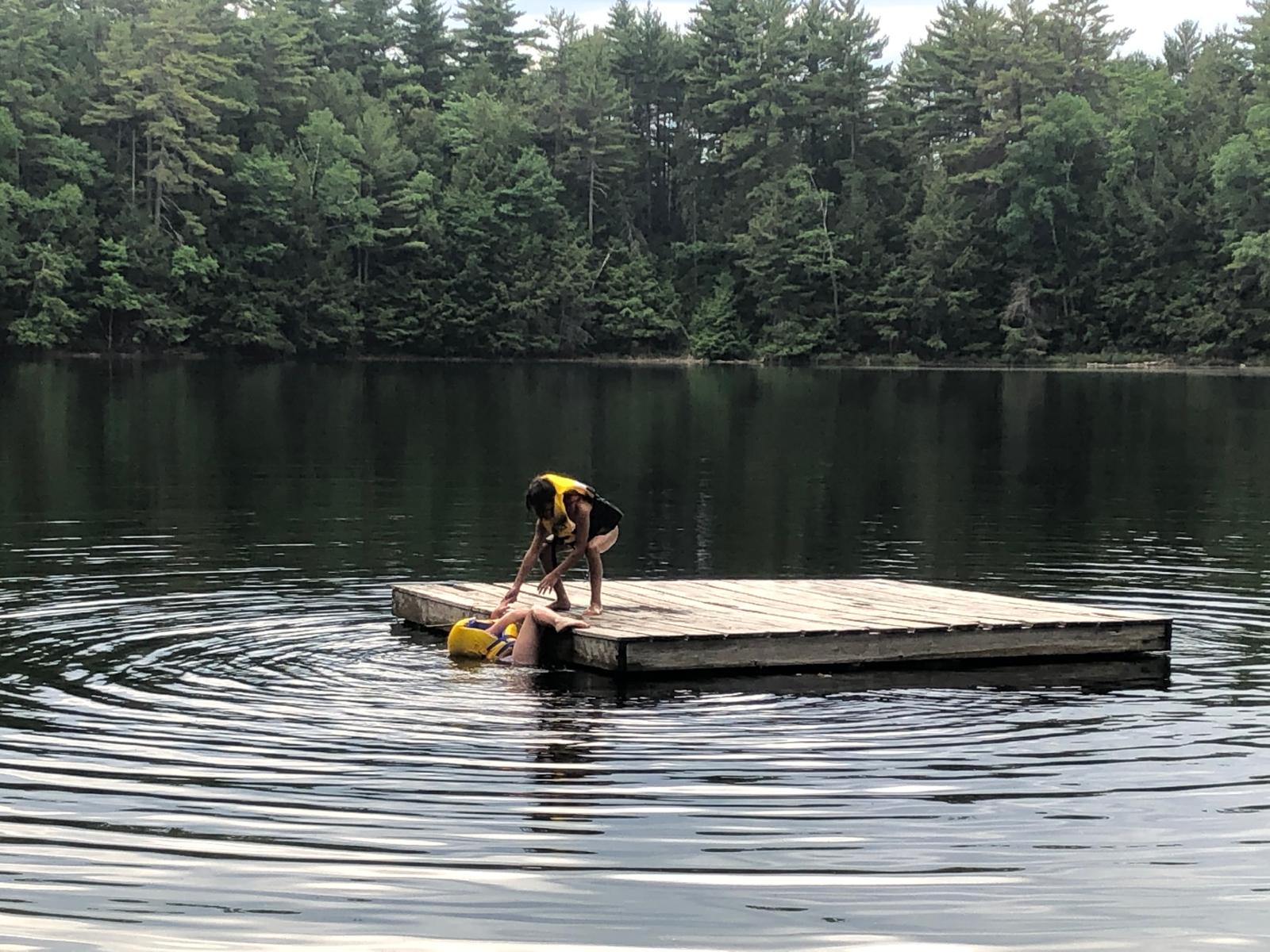 A dog beside a wooden swim dock on the private lake