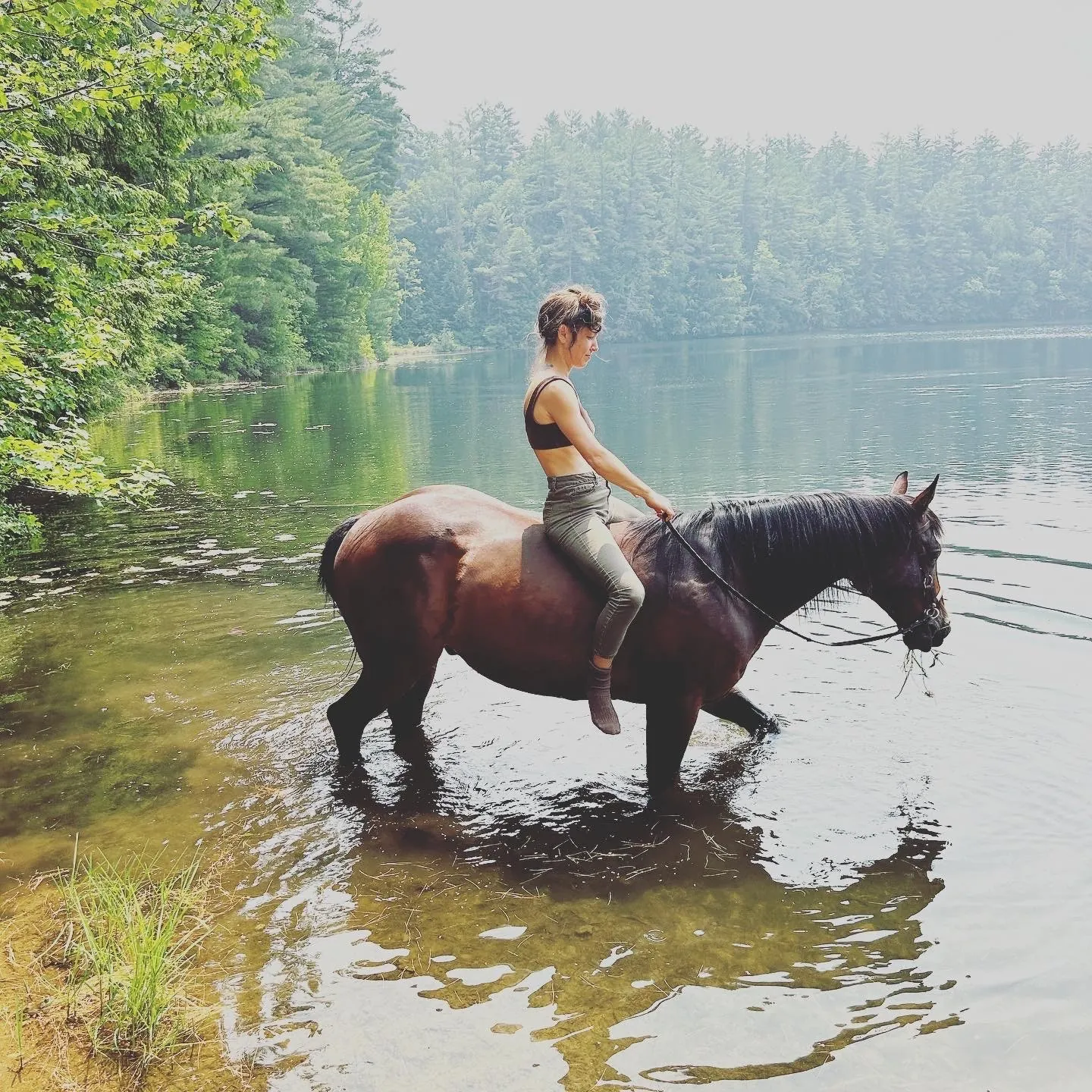 Rider on a dark horse standing knee-deep in the calm lake